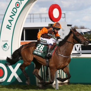 Grand national race winner