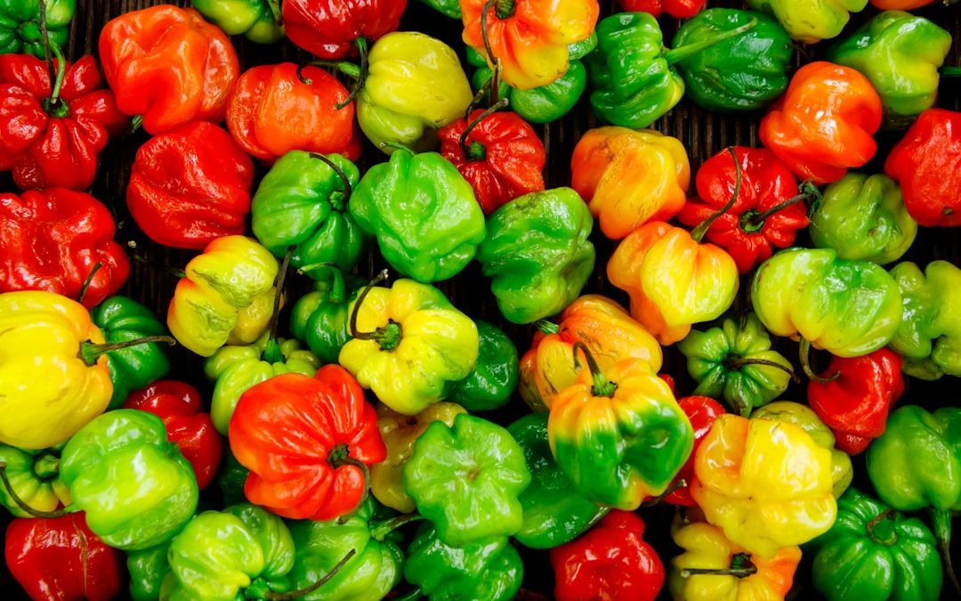 Photo Fresh vegetables