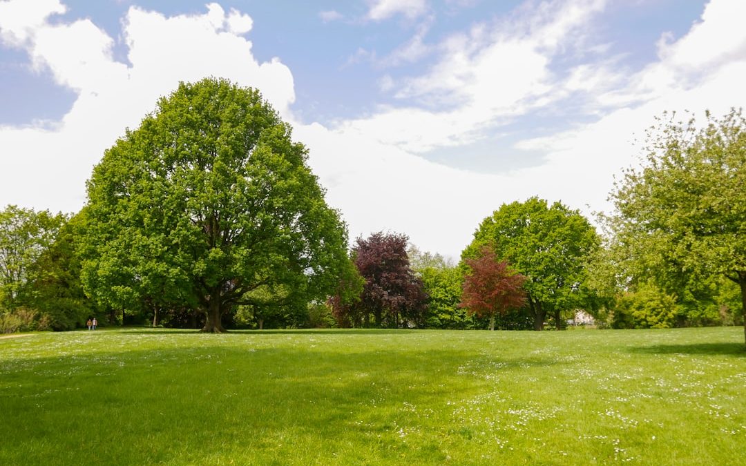 Photo Outdoor park